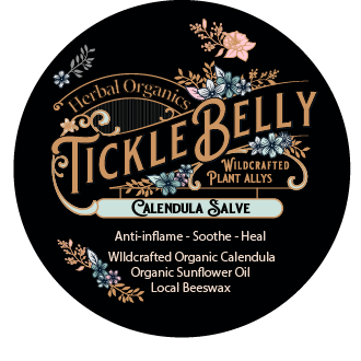 Calendula Salve
