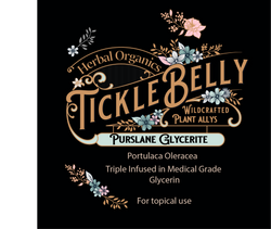 Purslane Glycerite